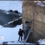 06.04.2021 Сюжет Россия 1